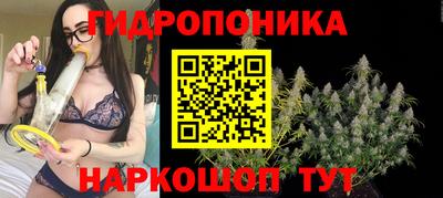 тгк Пугачёв