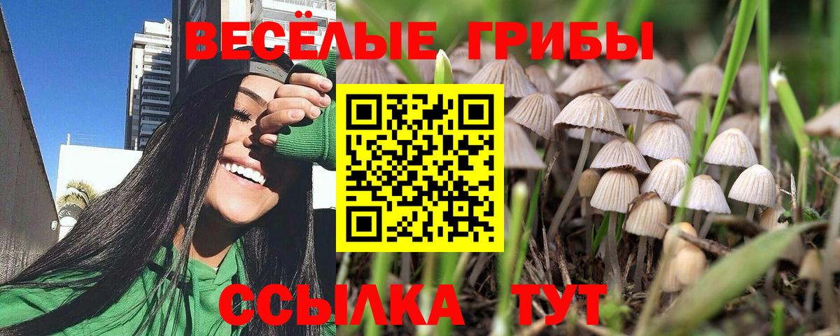 Галлюциногенные грибы Magic Shrooms Татарск