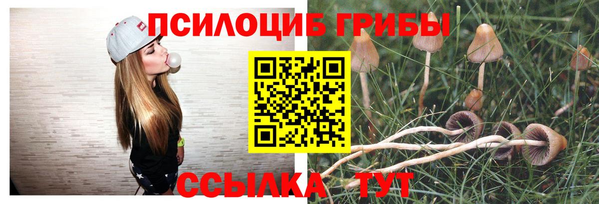 Татарск  Псилоцибиновые грибы мухоморы  закладка  Вход с VPN 